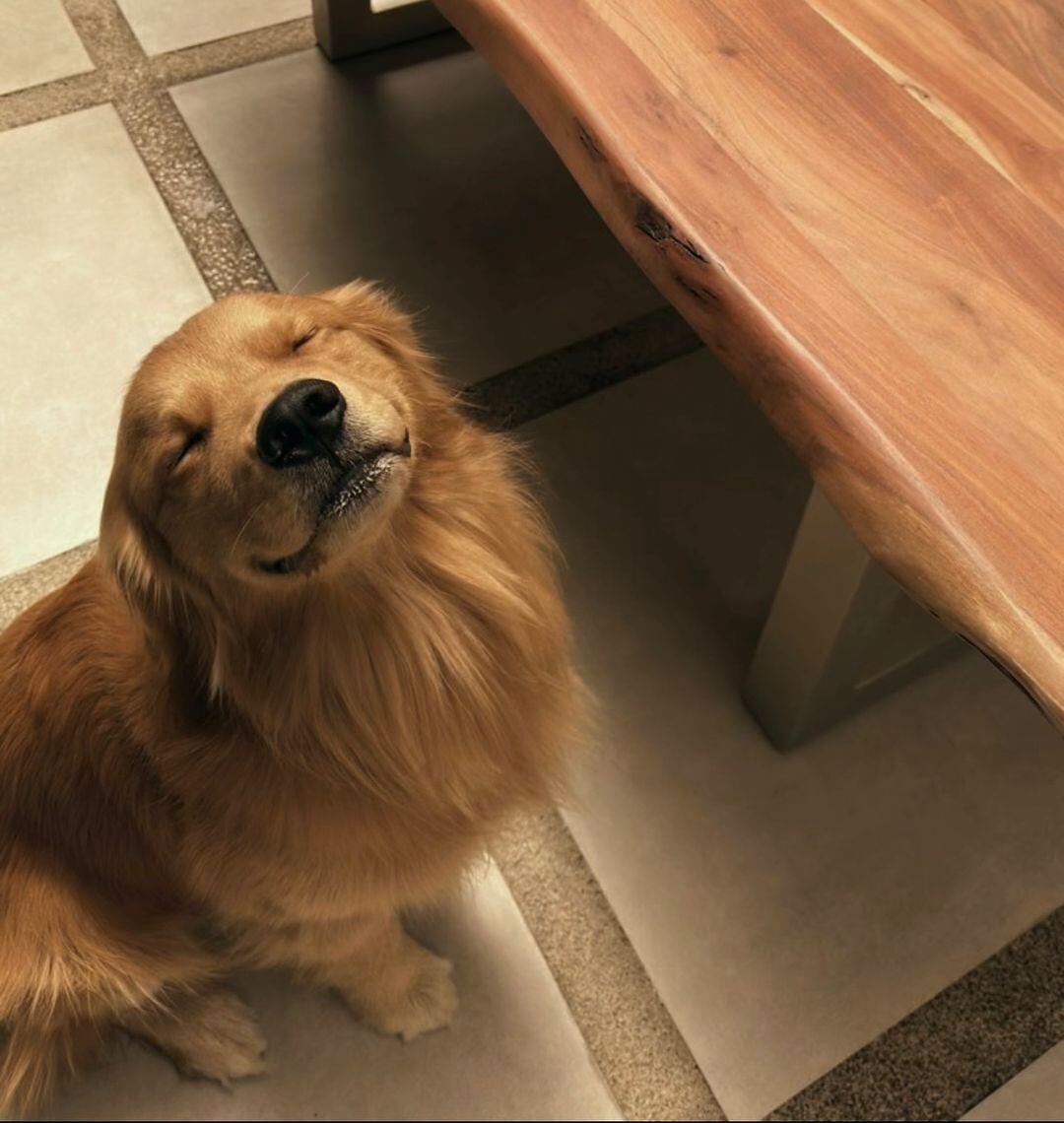 María Gonzálezz y su perro Gianluigi al que le dice de cariño Gigi.