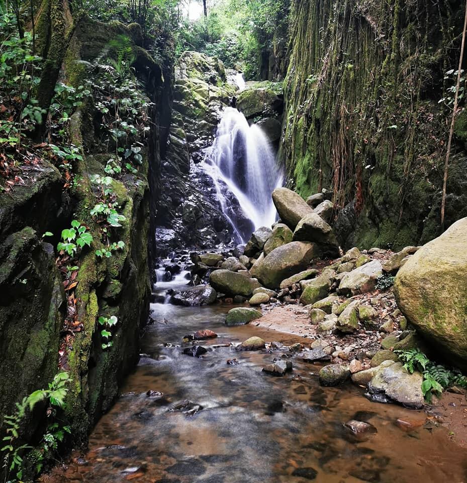 Catarata en las montañas de San José es todo un paraíso y la entrada es gratuita.