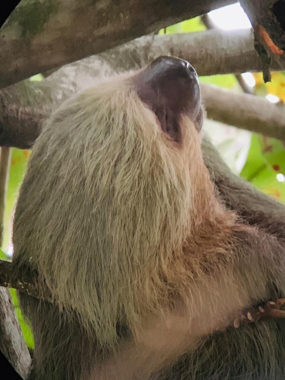 National Geographic se derrite en elogios para estos tesoros de Costa Rica.
