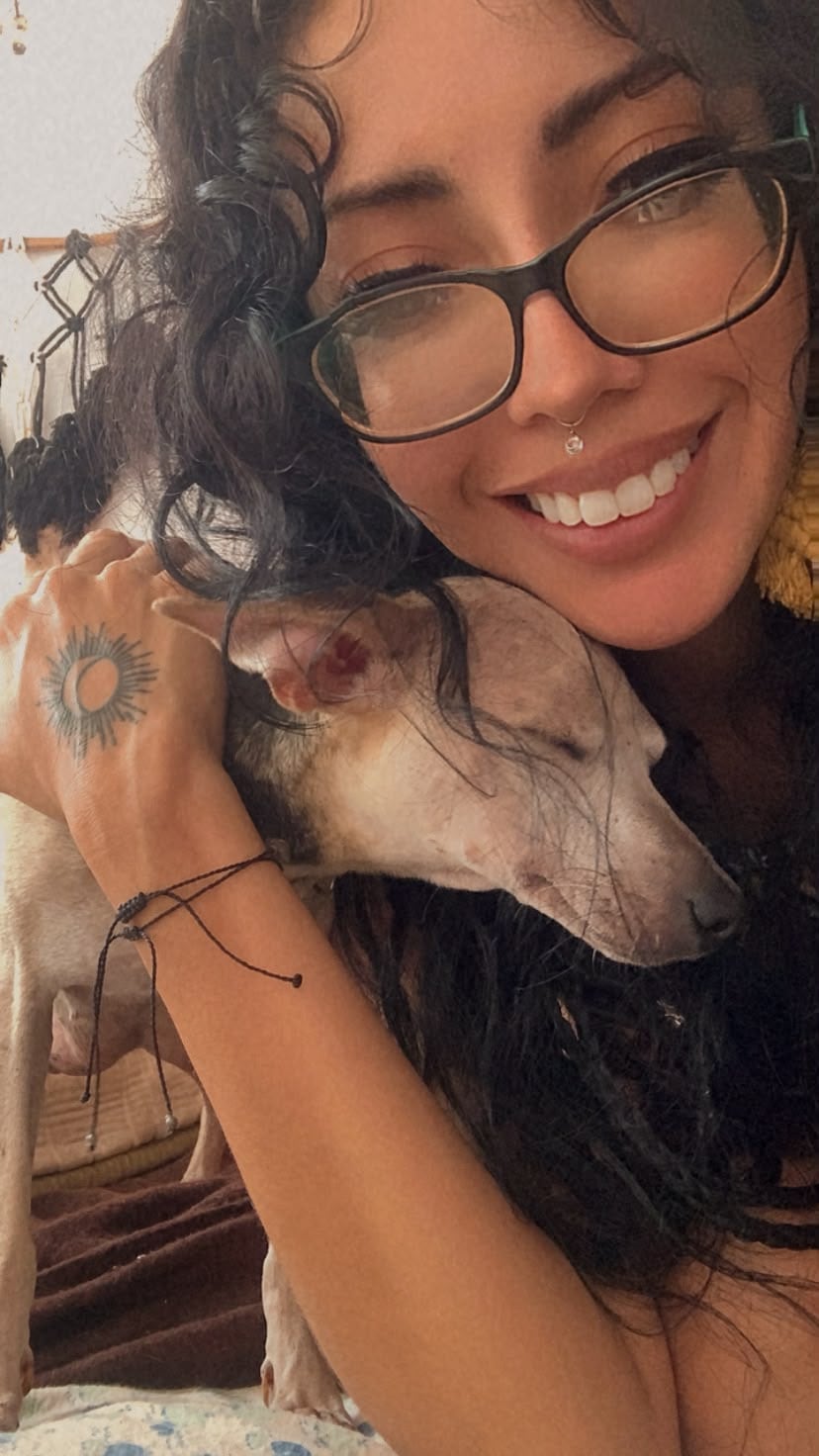 Bamba, la perrita rescatada en Pérez Zeledón que sobrevivió a un atropello estando embarazada.