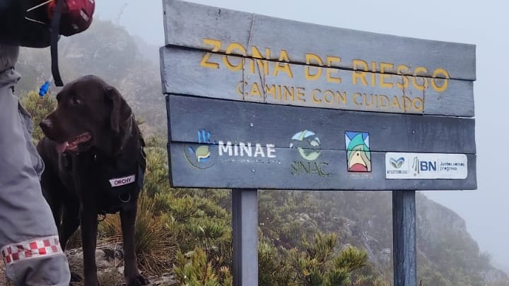Búsqueda de Reinaldo Pineda Lizano, de 58 años, en el Chirripó. Foto: SINAC