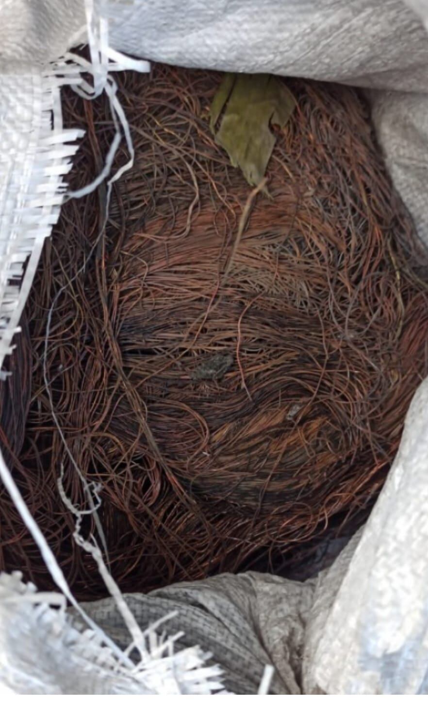 Una banda dedicada al robo de cable fue desarticulada por el Organismo de Investigación Judicial (OIJ) los sospechosos son 13 personas que aparentemente operaban en Cartago y Zona Atlántica.