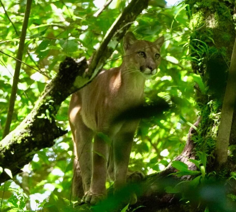 National Geographic se derrite en elogios para estos tesoros de Costa Rica.