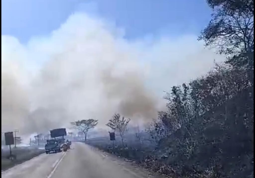 incendios en charral