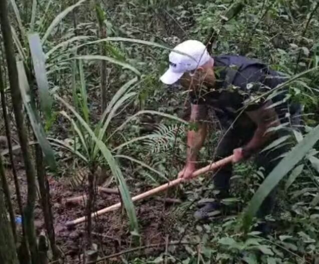 Raissa Suellen Ferreira da Silva