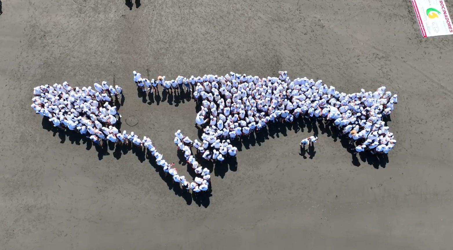 El sábado 8 de junio del 2024, a las 9 de la mañana, llegaron a la convocatoria 466 personas a playa Zancudo para formar la silueta de una ballena jorobada y así imponer un nuevo Record Guinnes.