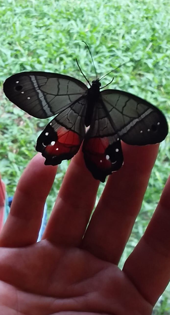 A don Jorge Valerio Díaz de Santa Rosa de La Palmera, en San Carlos, el 23 de abril del 2019 le cayeron fragmentos del meteorito Aguas Zarcas en su propiedad, logró venderlos a muy buen precio