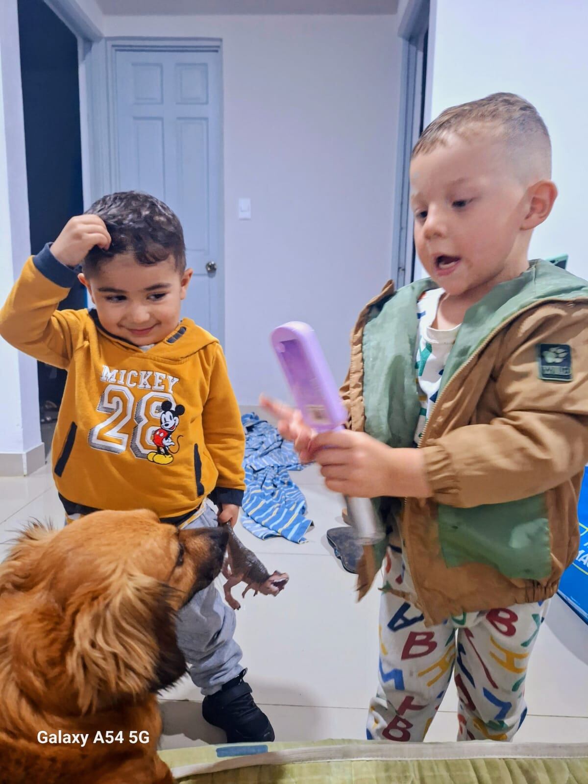 Lazzie Marie es una perra zaguatica que pasó de haber sido botada en un saco toda enferma a ser la luz del hogar de doña Carolina de Franco