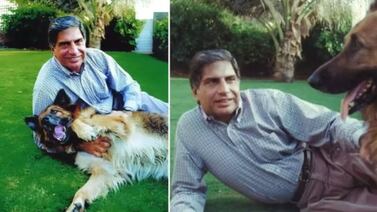 Empresario multimillonario le dejó parte de su herencia a su perro