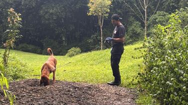 Esto encontró el OIJ en cuerpos de pareja asesinada y enterrada en finca de Quepos