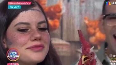 Video de gallo simulando que canta en famoso programa mexicano es viral en redes sociales