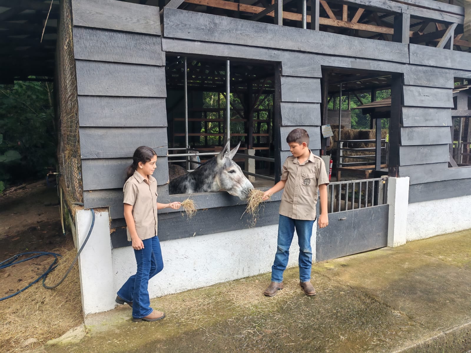 Luigy tiene seis años y es una de las estrellas de “La Granjita del Agro”, donde los estudiantes aprenden haciendo y descubren que cuidar a los animales también es una forma de aprender. En la foto, los niños Andrés Flores Carrillo y Vianka Chaves Morera.