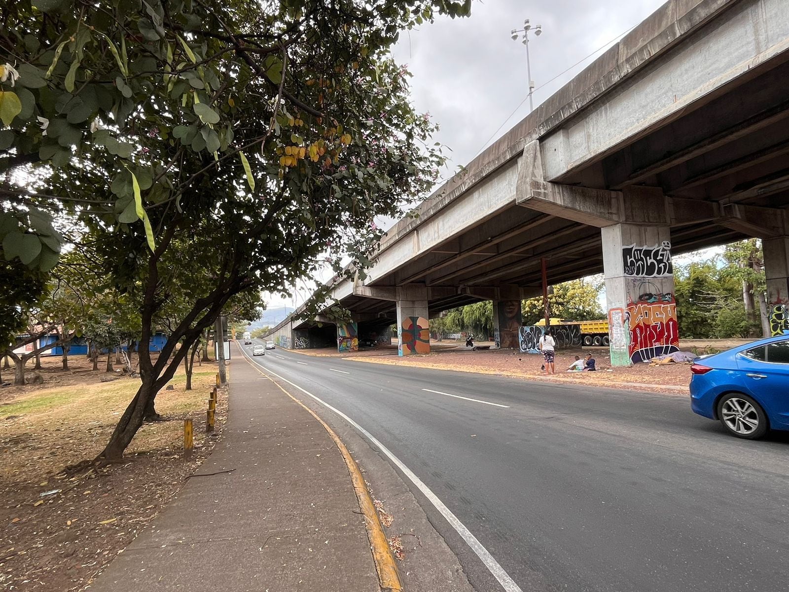 Este fin de semana se cerrará un sector cercano al puente peatonal del Parque de La Paz.