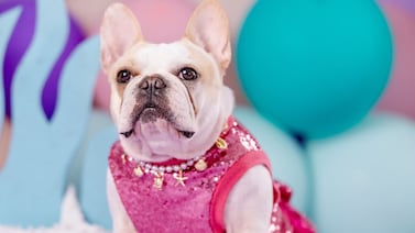 Lentes, vestidos y mucha actitud: Sarita es una diva que antes muerta que sencilla