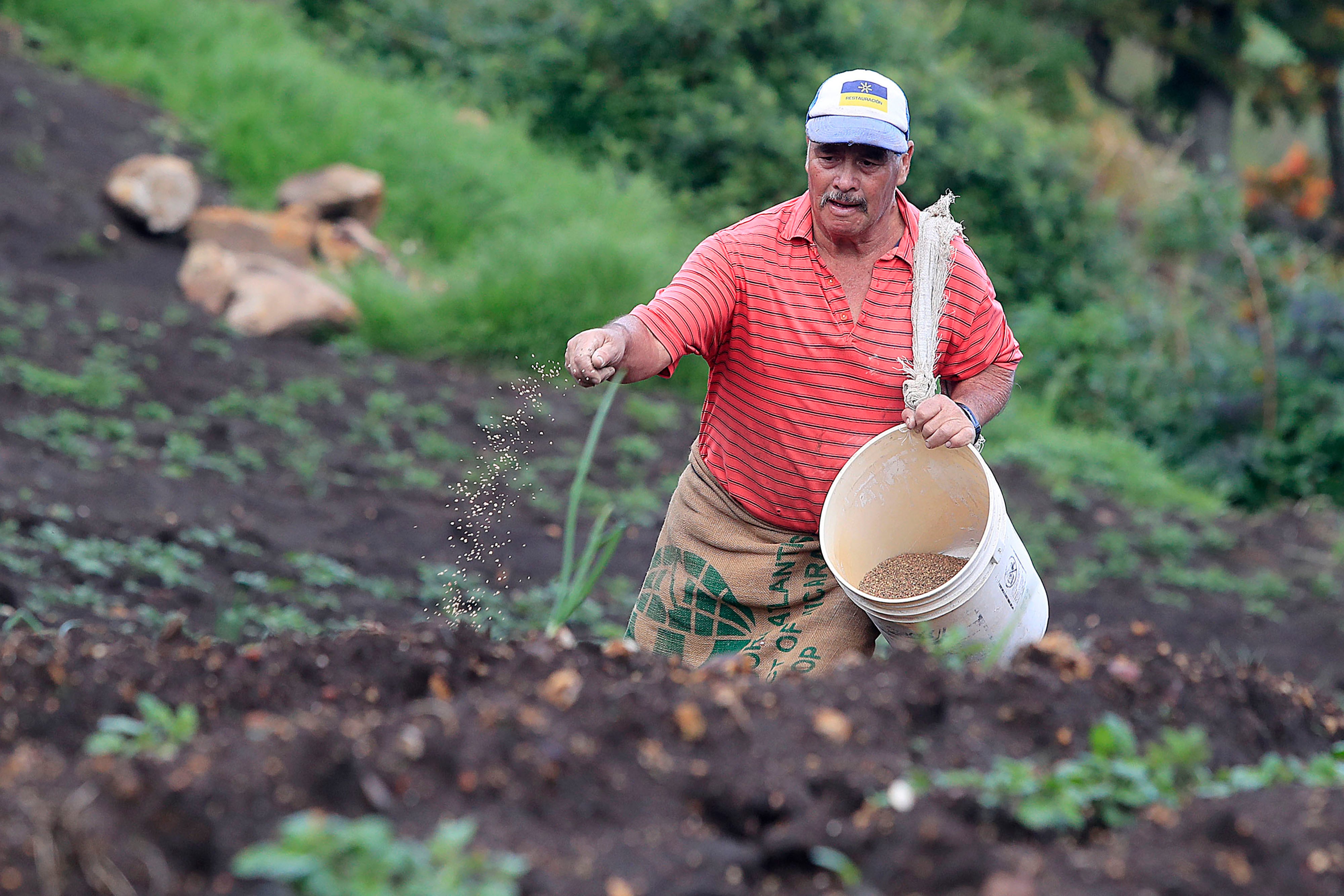 Agricultores, celebraran su día en medio de sus recurrentes preocupaciones