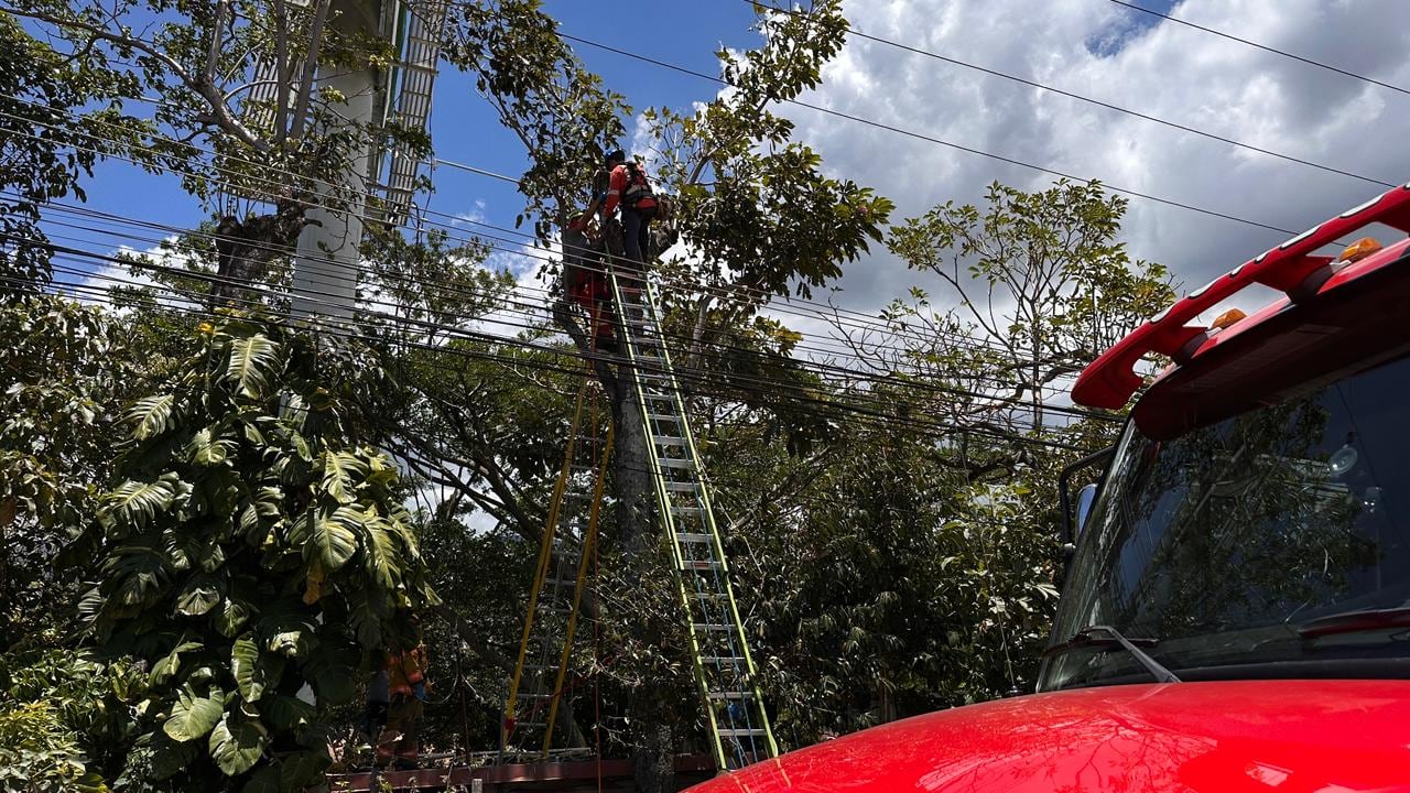Hombre murió al sufrir una descarga en Escazú. Foto: Alonso Tenorio
