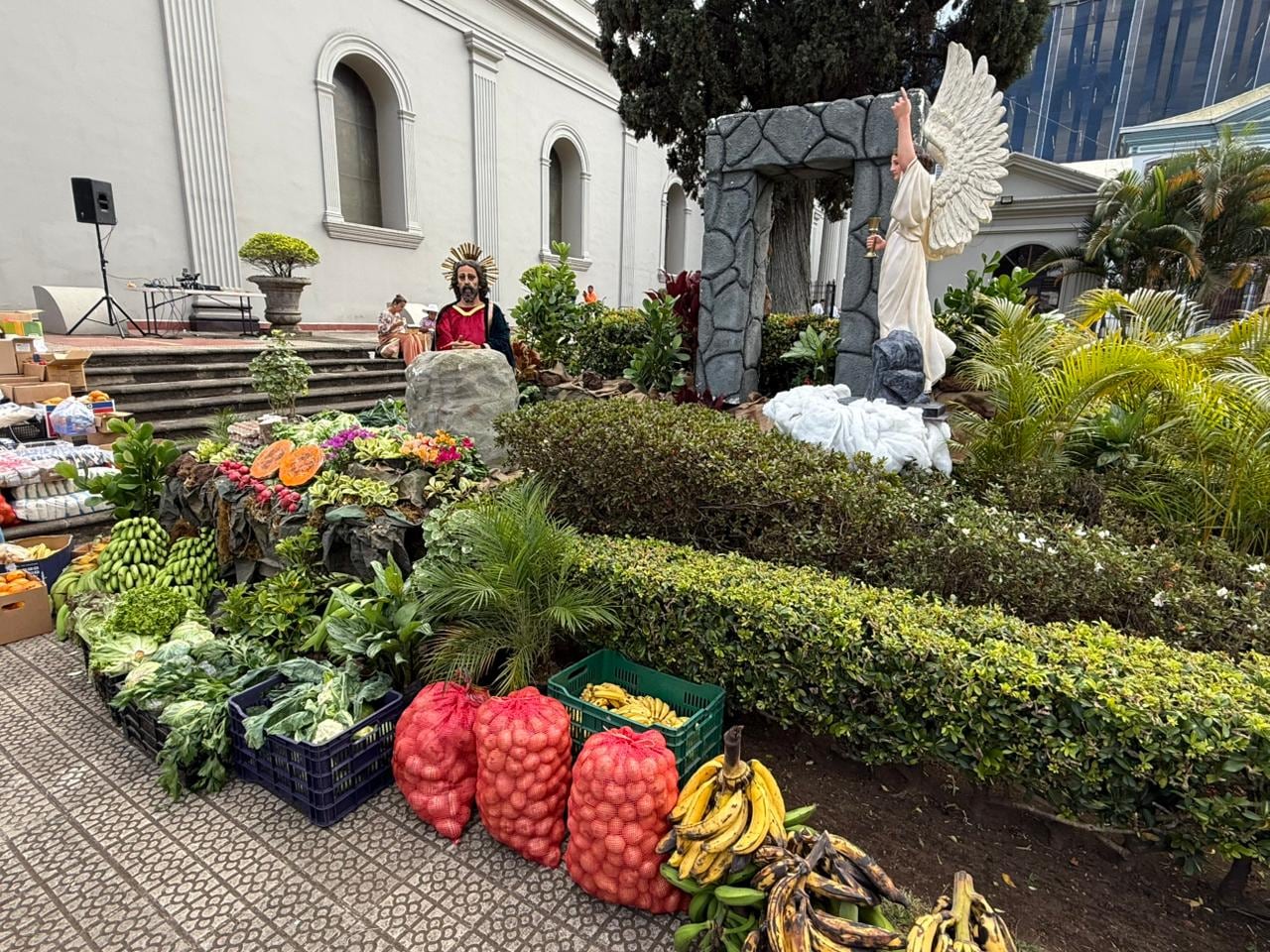 Diversas cosechas que van destinadas a un bien social