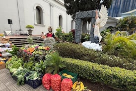 Vea todo lo que recolectó el Huerto de la Catedral para las familias más pobres