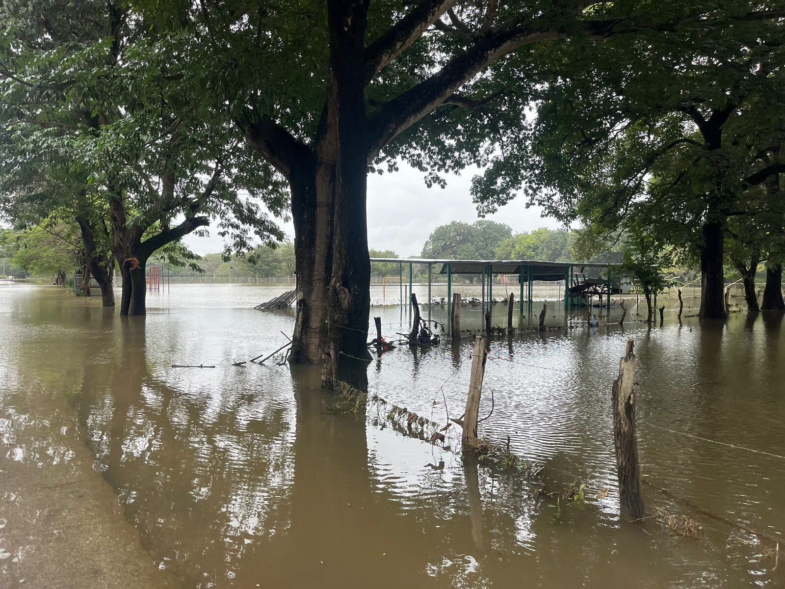 Ortega de Guanacaste golpeado por las inundaciones, este lunes 18 de noviembre del 2024 no hay lluvia, pero el agua sigue acumulada. Foto: Cortesía para La Teja