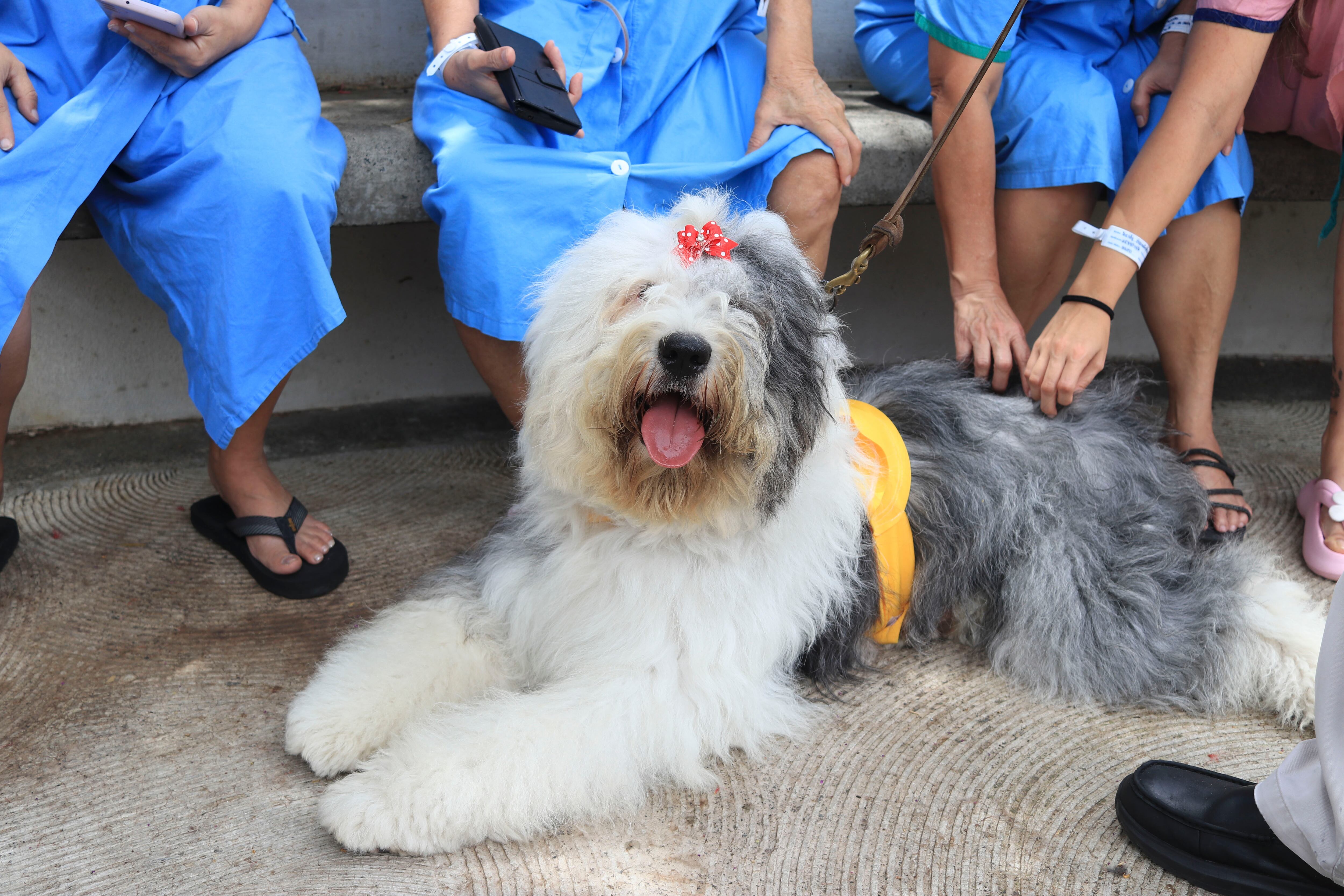 hospital San Juan de Dios