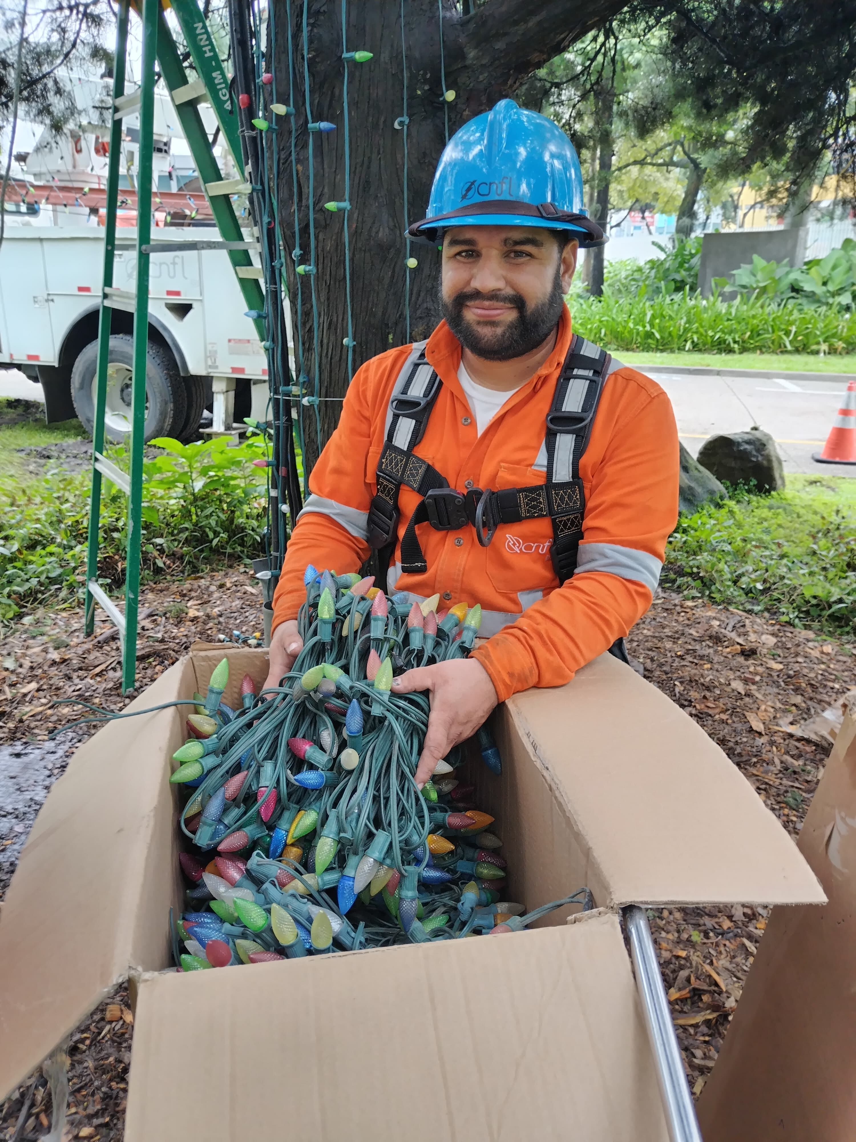 Tremenda alegría nos llevamos cuando pudimos confirmar que al arbolito de Navidad del Hospital Nacional de Niños (HNN) ya le están poniendo las lucecitas que iluminarán la alegría de miles de niños en todo el país, principalmente, a los pequeñitos que están en ese hospital. En la foto, Marcelino Arce del departamento de Alumbrado Público de la CNFL.