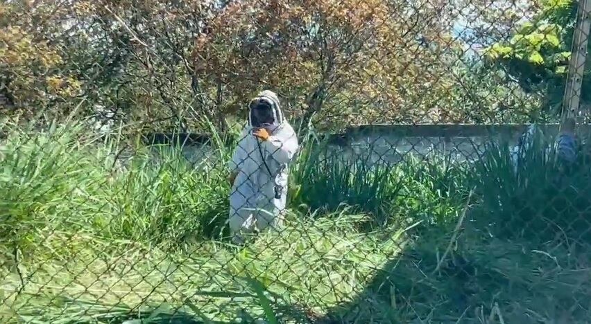 El hombre fue atacada cuando estaba chapeando un lote. Foto Bomberos.