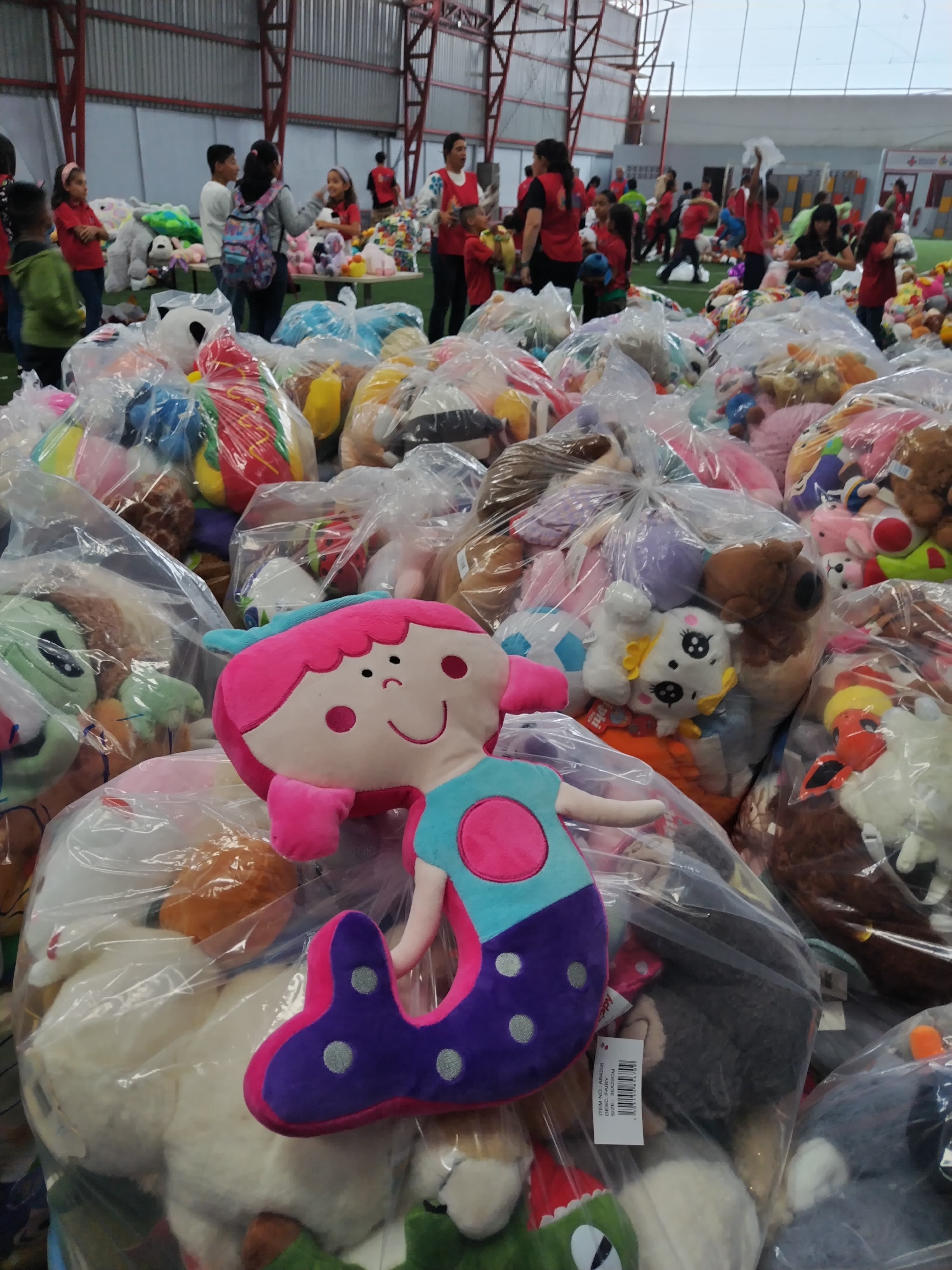 El padre Sergio Valverde de Obras del Espíritu Santo, comenzó el lunes 11 de noviembre a acomodar los peluches que los ticos donaron en la lluvia de peluches en el estadio Ricardo Saprissa.