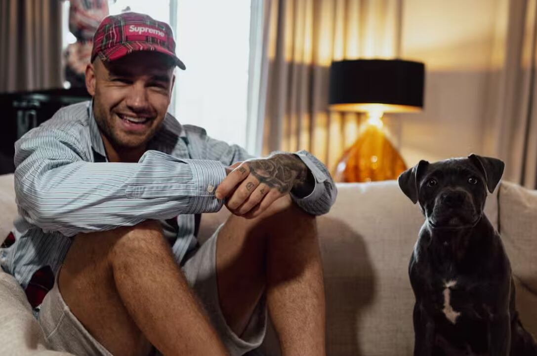 Liam Payne murió en Buenos Aires el 16 de octubre. Tras su trágico fallecimiento, su pareja, Kate Cassidy, se encarga de Stanley, su querido perro. Foto: Instagram Liam Payne