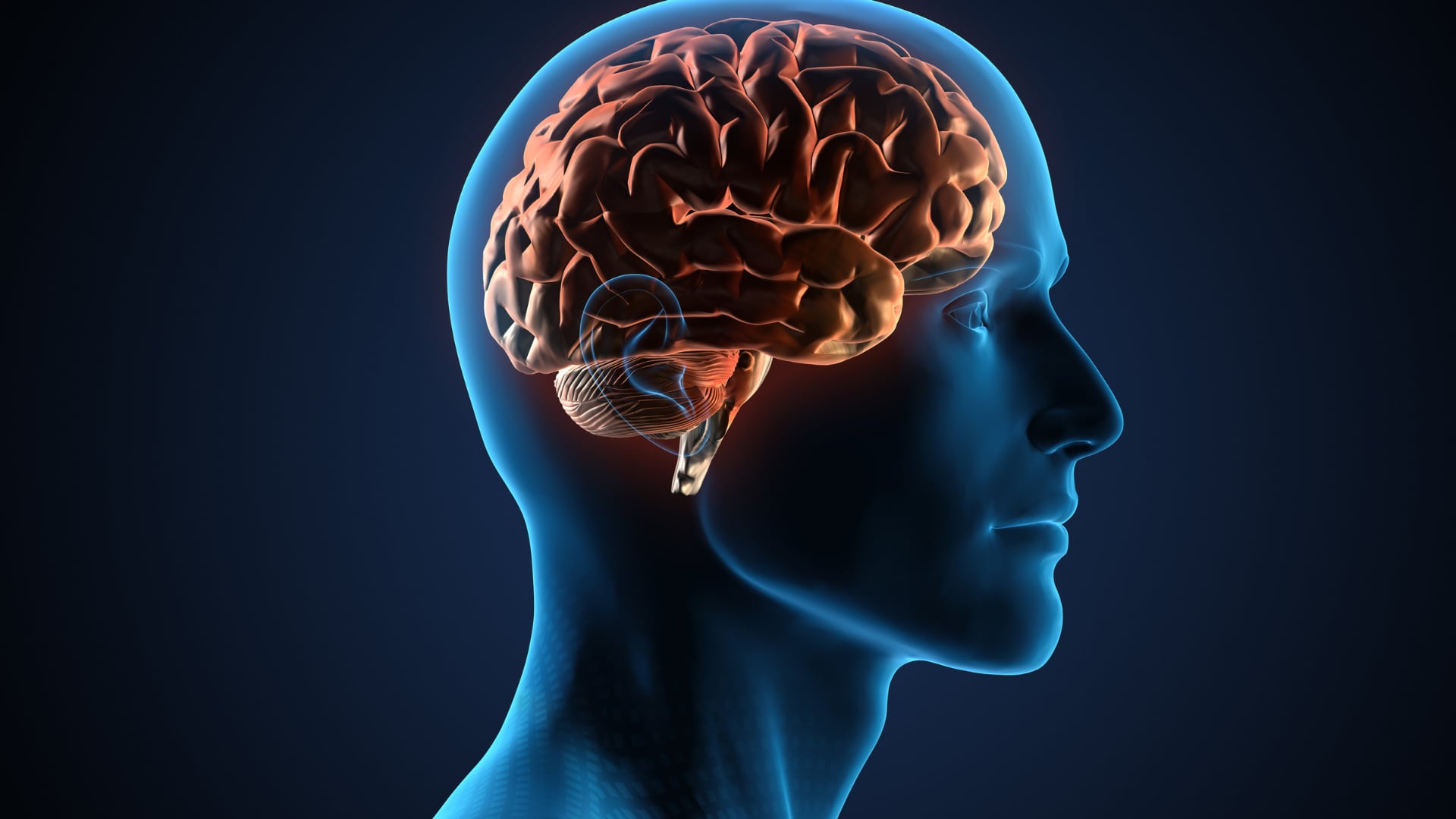 El ejercicio como medicina natural: combinar actividad física con hábitos saludables potencia la salud mental y crea un efecto positivo en la motivación y el ánimo.