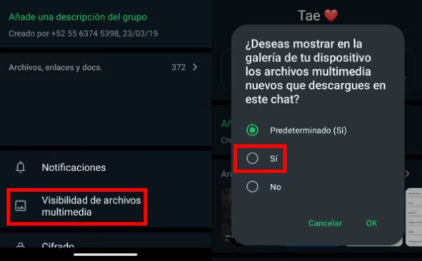 Evitar que WhatsApp llene la memoria