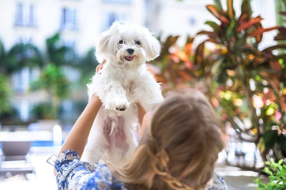 Fotos cortesía de Leonora Jiménez