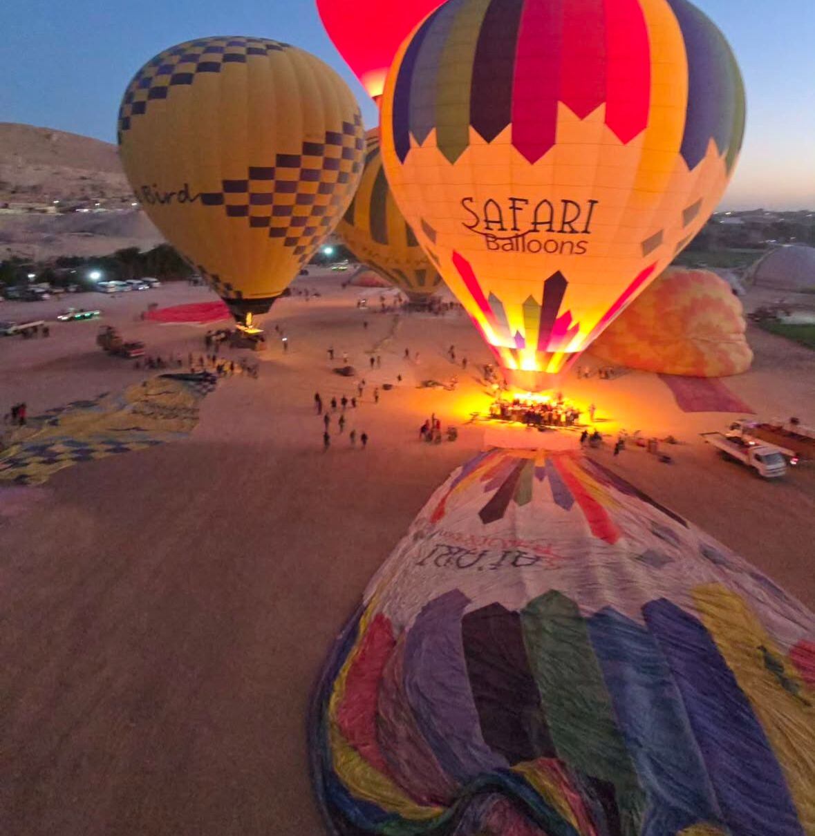 Natalia Rodríguez  Egipto
