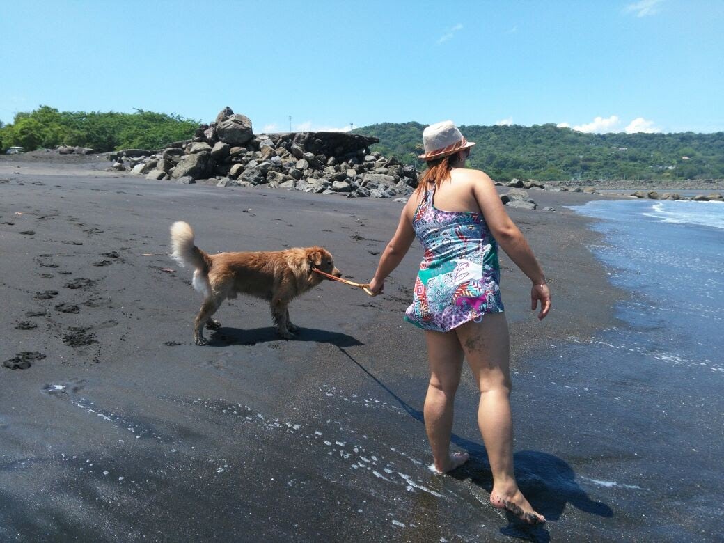 Quemaduras en las almohadillas de las patitas, golpes de calor, deshidratación y que se pierda son algunos de los problemas más comunes que puede sufrir su perrito (algunos también llevan hasta el gato) cuando la lleva a pasear