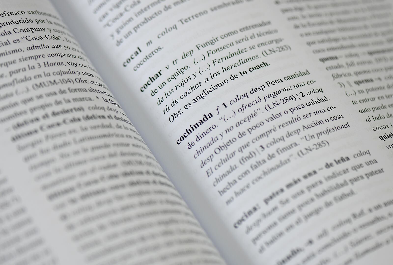 Víctor Sánchez Corrales es profesor emérito de la Escuela de Filología, Lingüística y Literatura de la Universidad de Costa Rica y junto a un equipo de trabajo creó el Diccionario del  Español de Costa Rica.