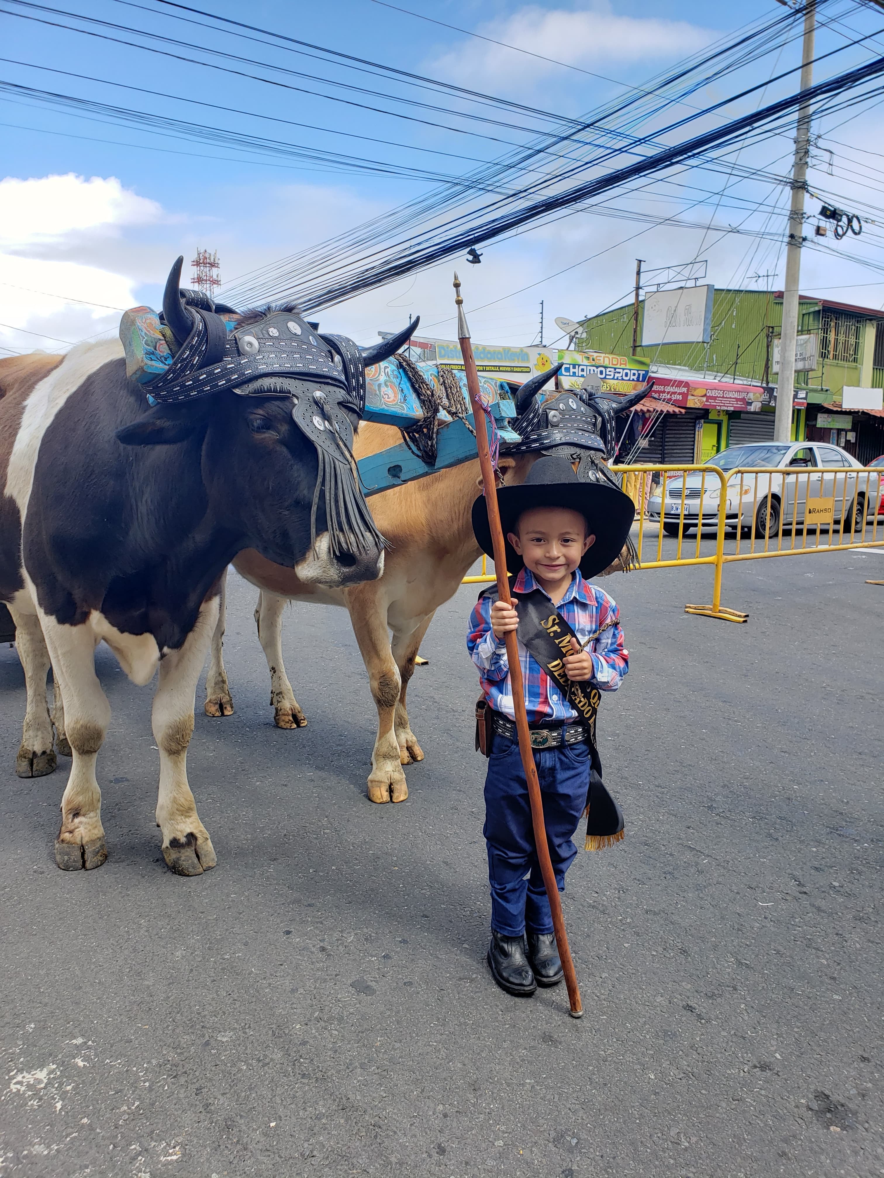Desfile nacional de Boyeros se desarrolló este domingo