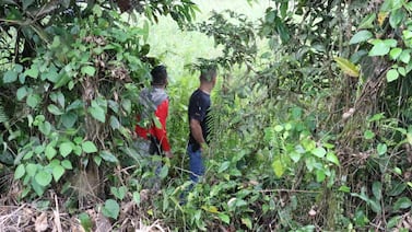 Mamá denuncia desaparición de hijo y 5 días después este aparece muerto cerca de río