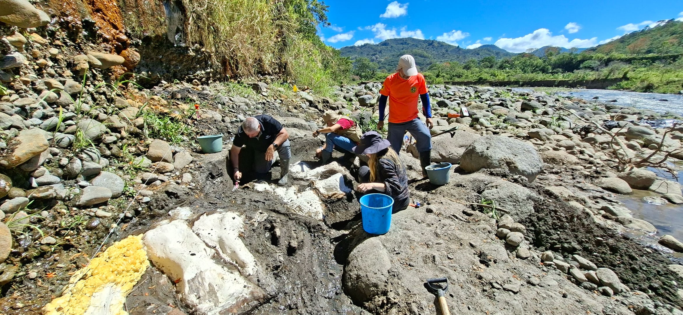 Hallazgo de mastodonte en Cartago