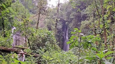 Únase a una caminata ideal para principiantes y que lo llevará a explorar Cartago