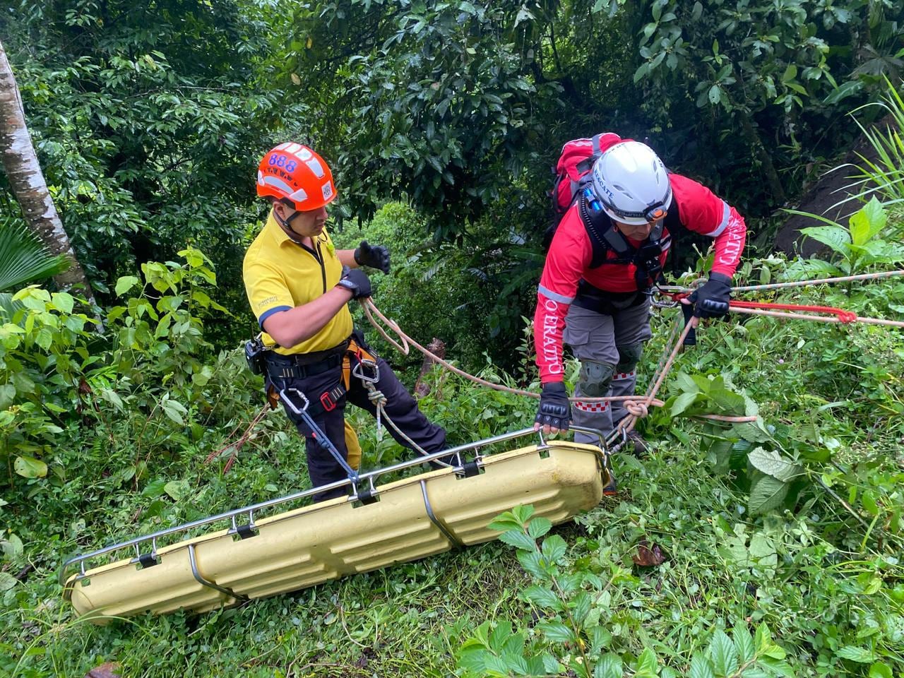 Las personas, entre ellas una mujer embarazada, fueron trasladadas en condición crítica al Hospital William Allen Taylor.