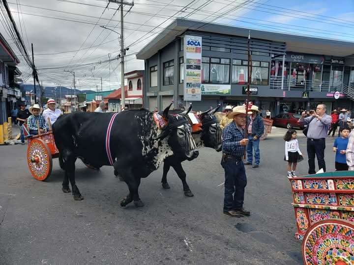 Desfile nacional de Boyeros se desarrolló este domingo