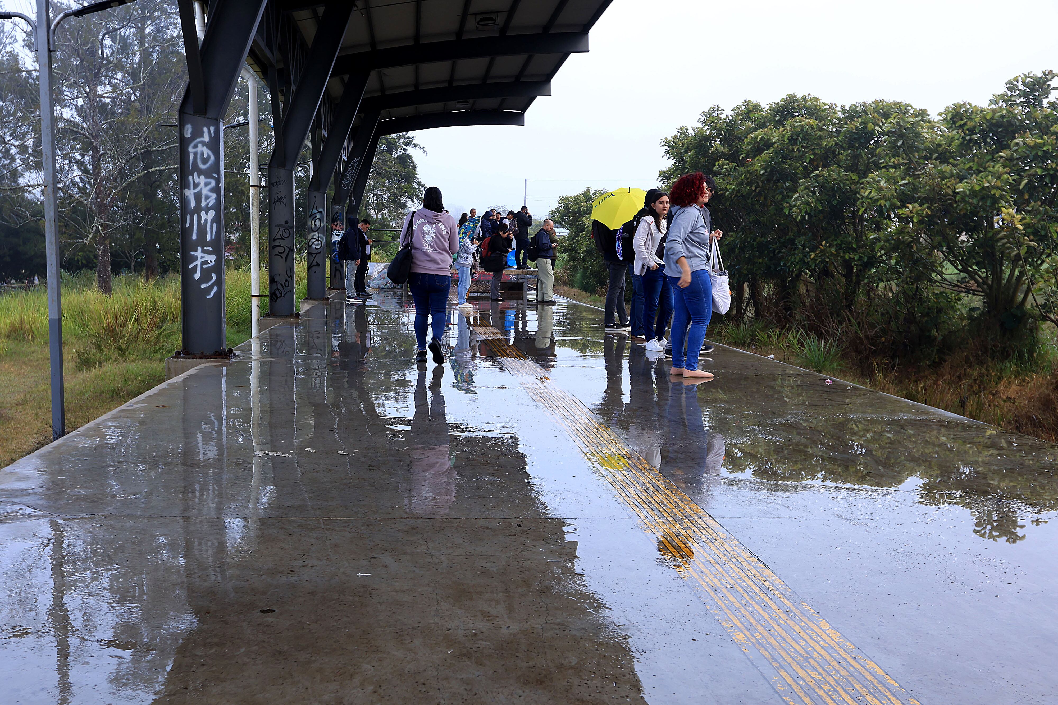 Llovizna y neblina, clima