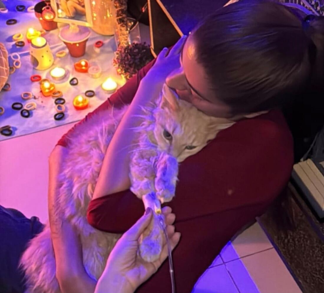 María José "Majo" Ulate, pareja sentimental del presentador Mauricio Hoffmann.