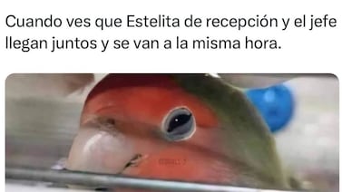 ¿Están permitidas las relaciones amorosas en los centros de trabajo? Esto nos explica un experto