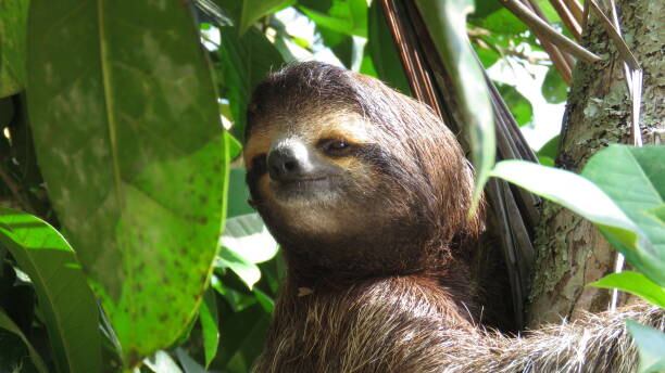 De la venta del papel higiénico Rosal Eco, se destina un porcentaje para apoyar las iniciativas de la Fundación.