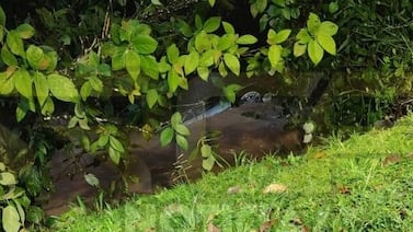 Ellos serían los tres jóvenes que perdieron la vida en carro que cayó a un guindo en La Fortuna