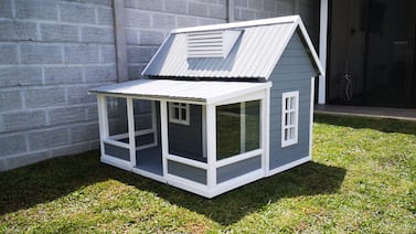 Mansiones para perros: vea que belleza para que su peludito viva como un rey