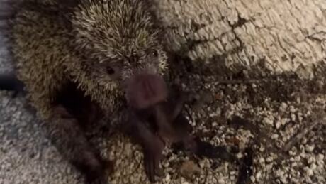 Esta fue una de las historias compartidas por Karina Ramos.