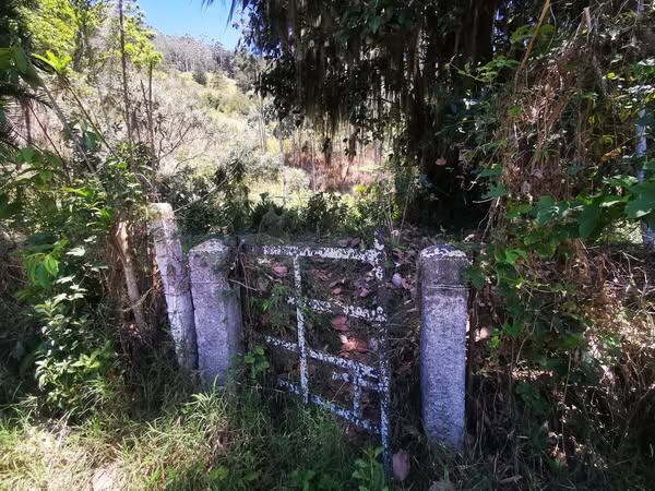 Don Marco Solano Moya vive en Paraíso de Cartago y desde hace varios años está en una guerra sin cuartel con el objetivo de salvar un cementerio en el cual hay más de mil personas enterradas desde la época colonial