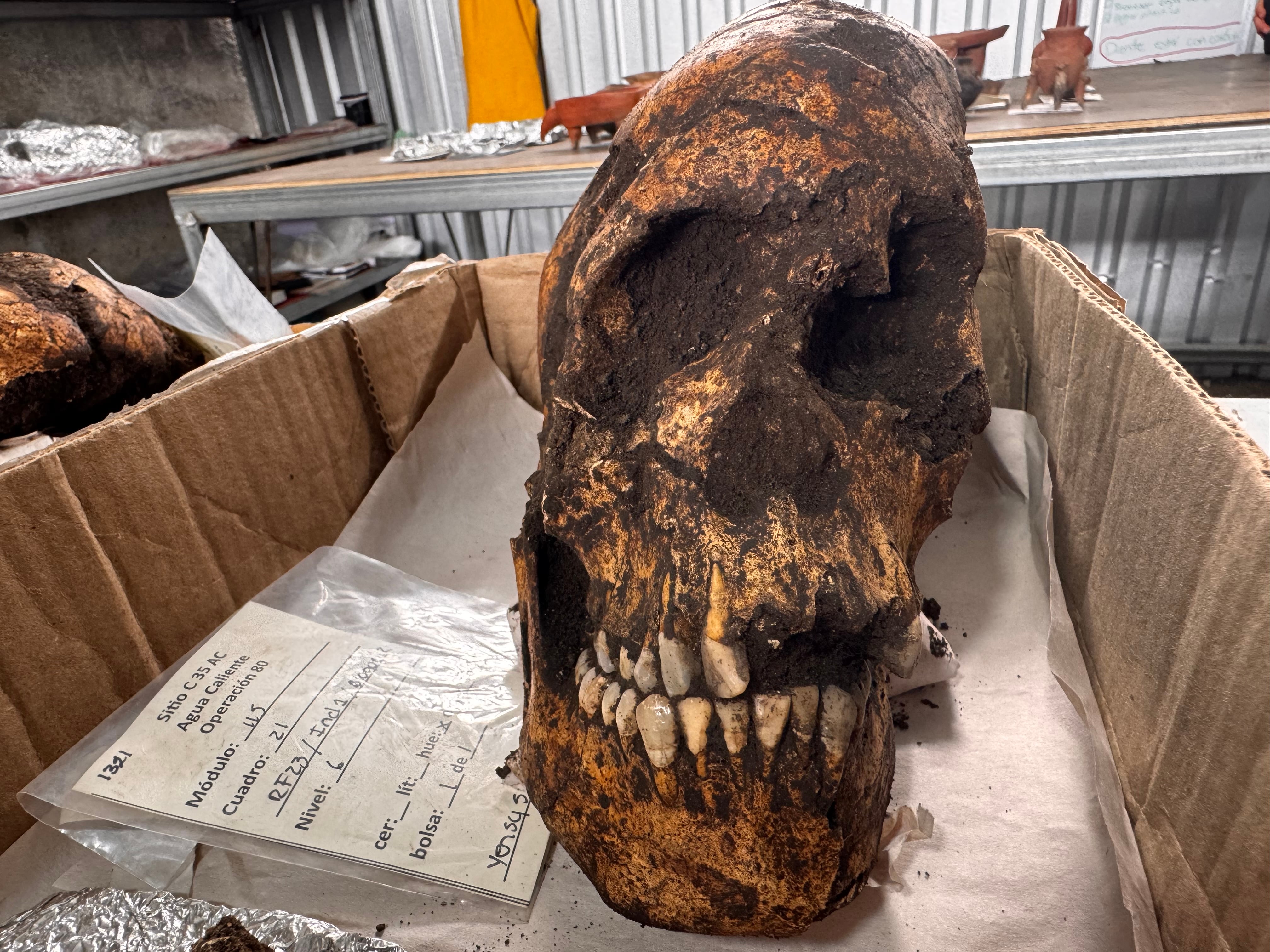 La experta del Museo Nacional, Grettel Monge Muñoz, nos confirma que lo encontrado en Agua Caliente de Cartago es un cementerio de cementerios indígena y que, por los hallazgos logrados hasta el momento, se trata de un lugar en donde enterraban a indígenas importantes y platudos.