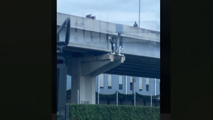 Un supuesto asaltante se lanzó de 12 metros de altura en Circunvalación Norte cuando se vio acorralado por oficiales de la Fuerza Pública la tarde de este miércoles 25 de setiembre. Foto: Agencia Nacional de información